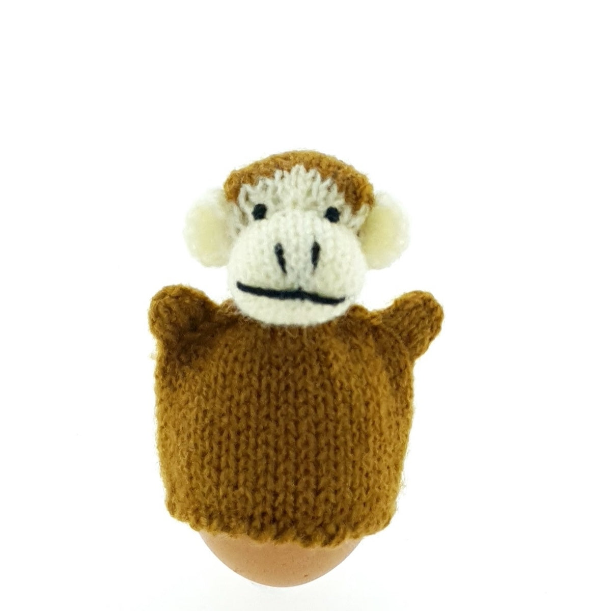 Eiwarmer aap